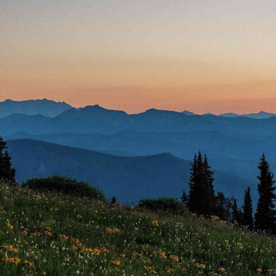 میزنم بیرون از خونه نیستی برام _ با صدای پسر