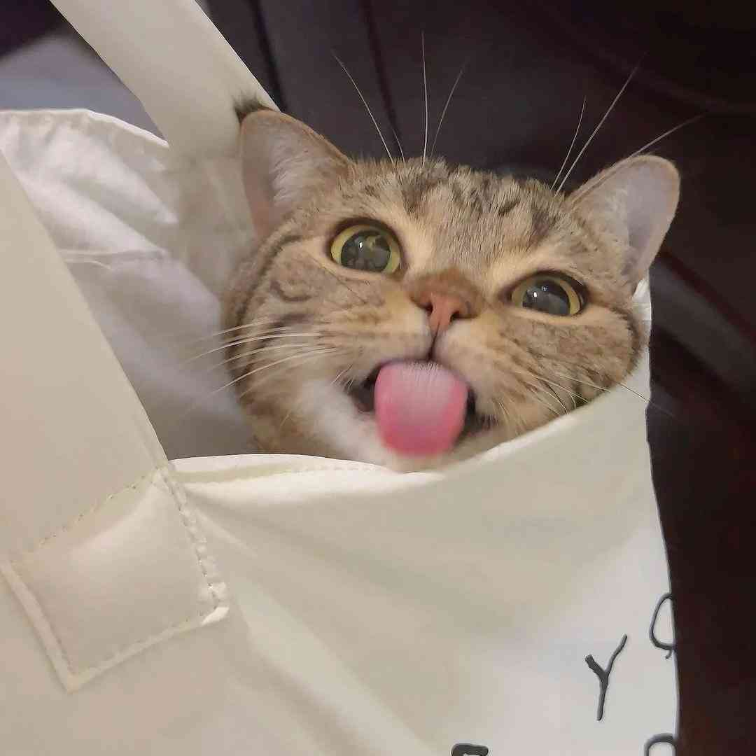 دانلود ریمیکس از مبینا به داداشم مبینا داداش چطوری