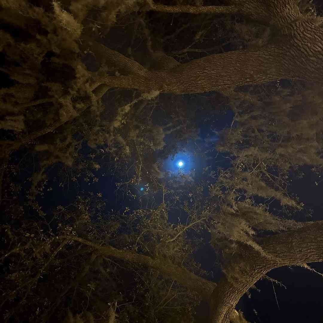 دانلود ریمیکس منم ‌و هدفونم میخوام فقط چت کنم _ میکس ترند