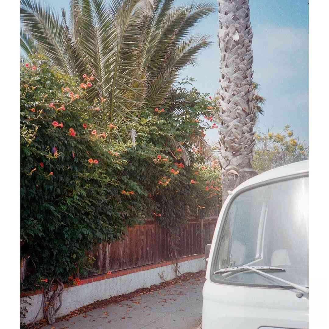 دانلود آهنگ جدید کاش کبوتر میبودم با صدای دختر اینستا