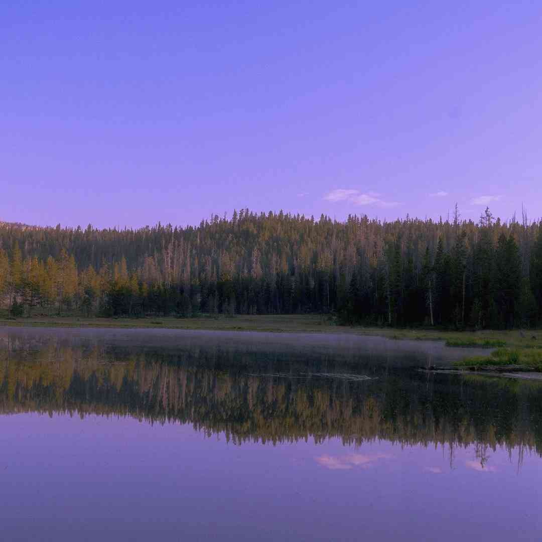 دانلود آهنگ جدید یی وانگ یی وانگ دو یی وانگ _ ترند