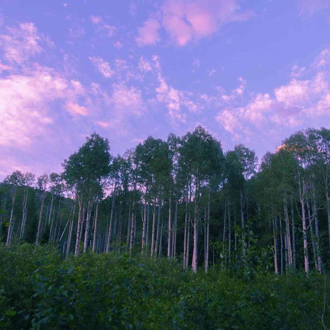 زدم به هر دری ع دستم در نری _ اینستایی