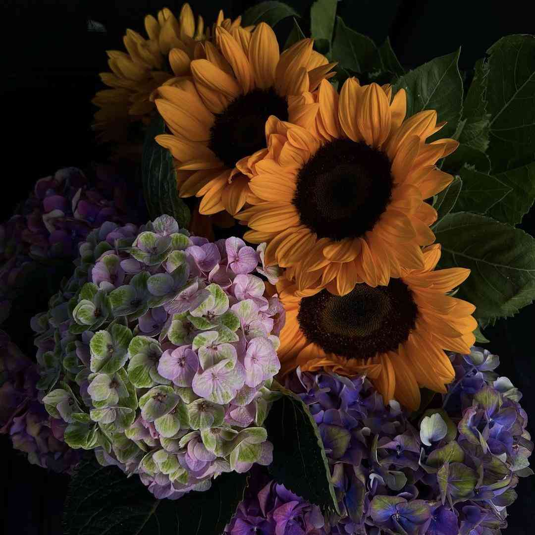 بیا که بریم به مزار ملا ممدجان صدای زن _ ترند