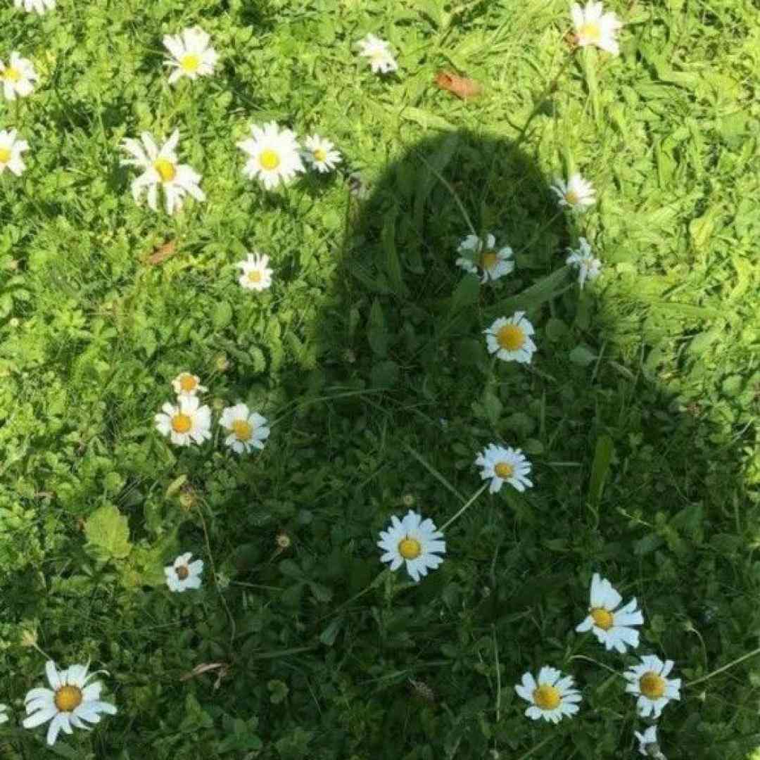 دانلود ریمیکس آرزوت چیه از اینجا برم آه که از اینجا بری