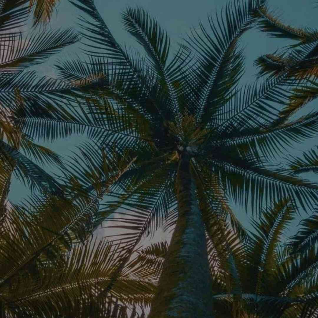 دلم میخواد ساکت شم اگه حرفام بزارن