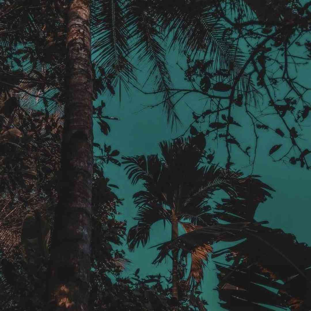 دو دست یافتم رو اسب تاختم کاخ هارو سوزوندم