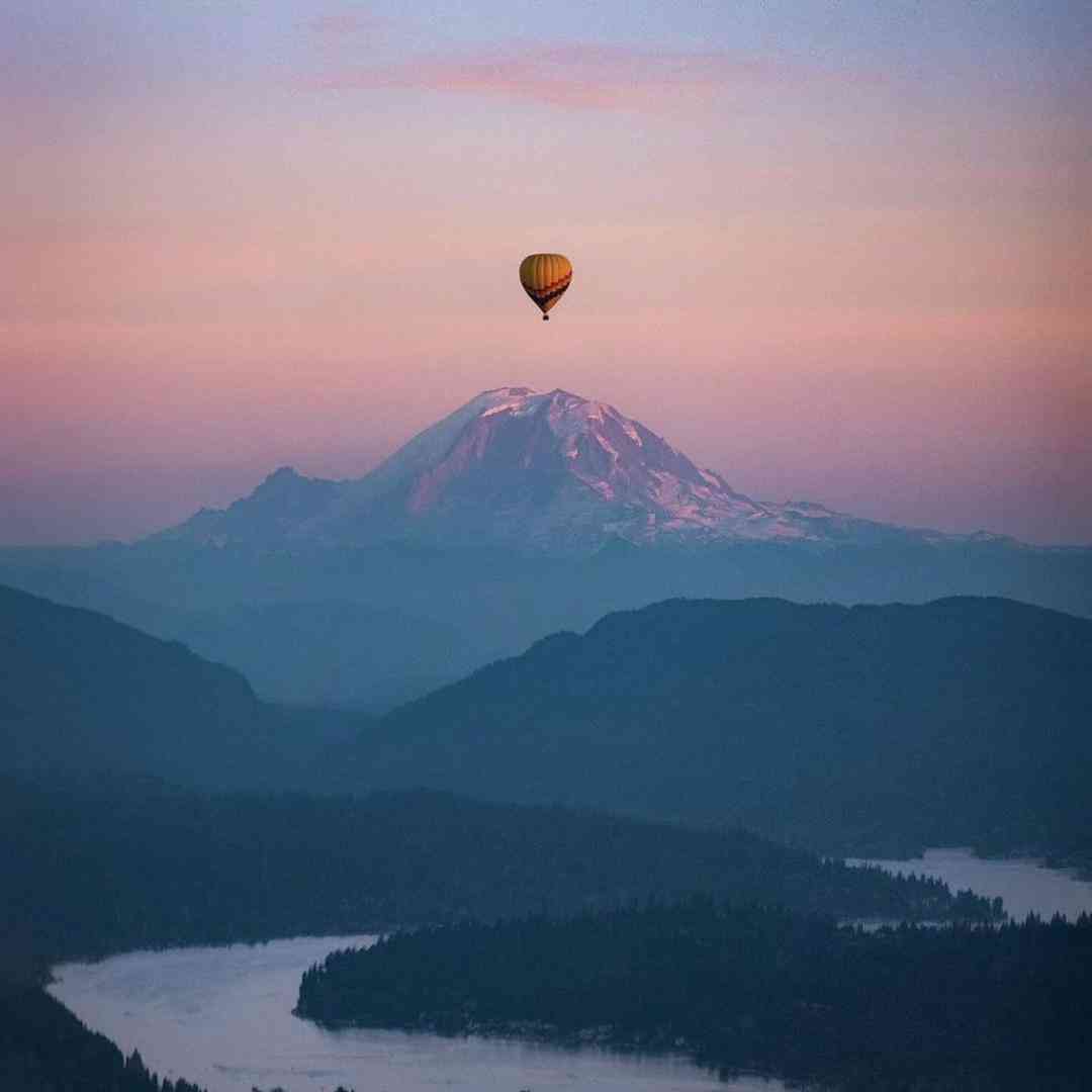 دانلود ریمیکس حیف این همه ماهی معصوم حیف