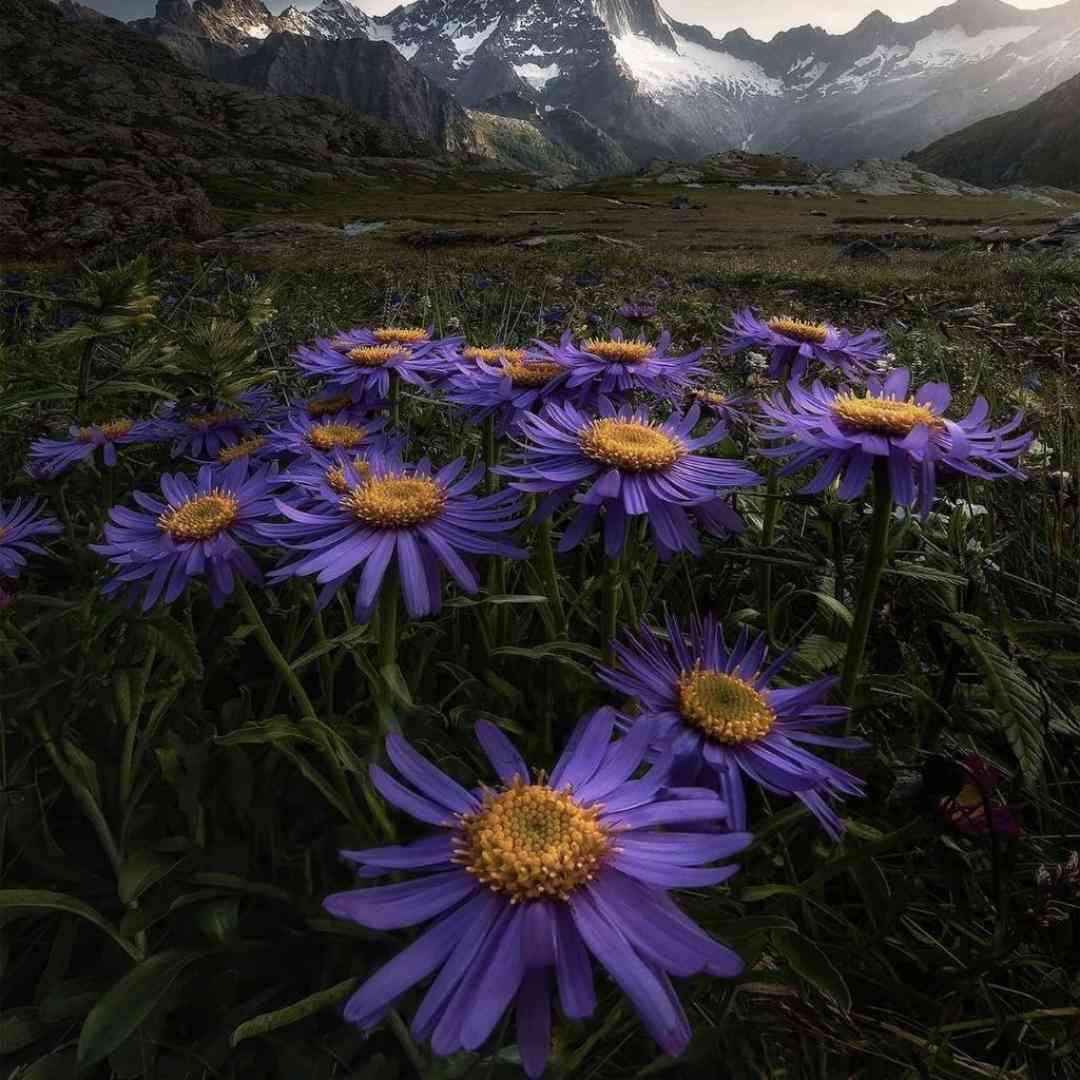  تو بیا حرف بزنیم واسه ی همیشه نرو