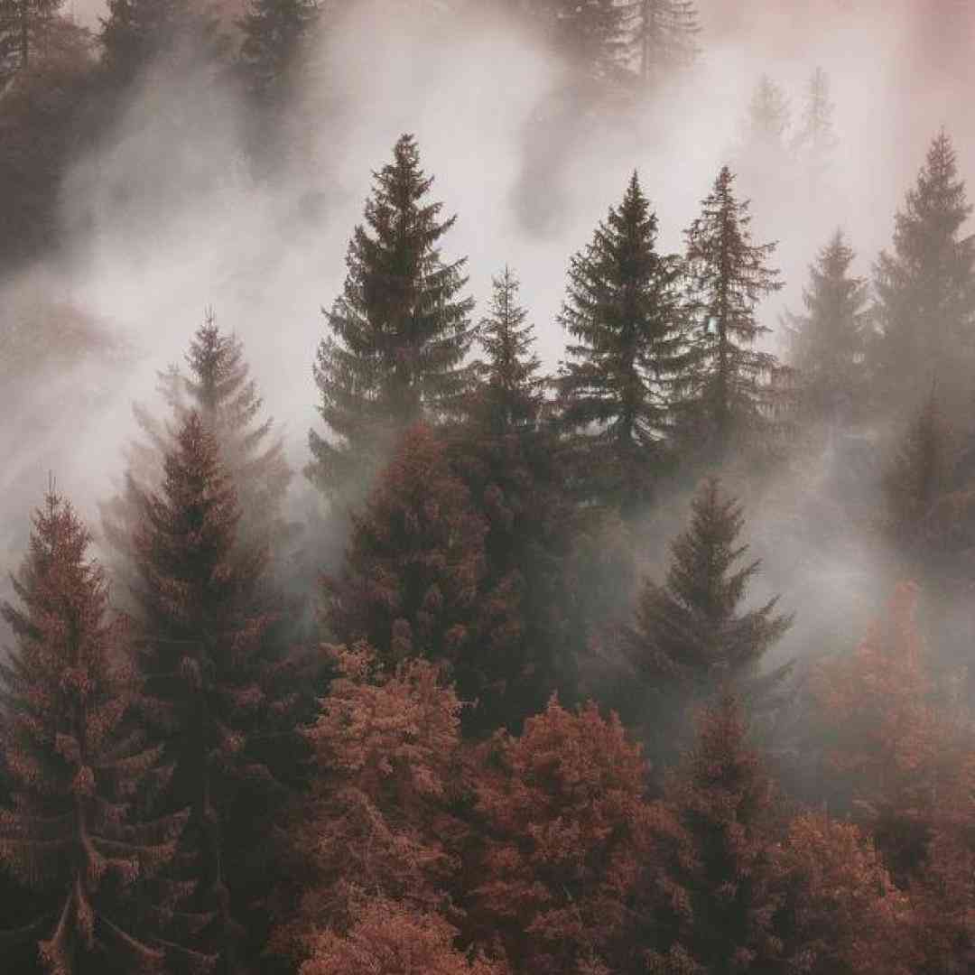 دانلود آهنگ جدید گلای یاس تو باغچه غروبا پونه میگیرن با صدای دختر