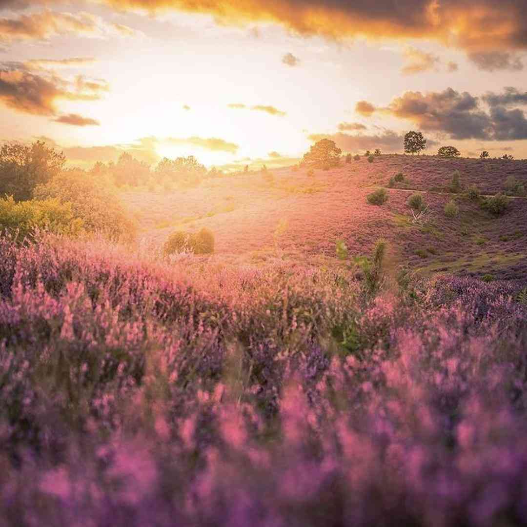 دانلود آهنگ جدید نمیشناسیم همو به چهره اما بینمون یه مهره