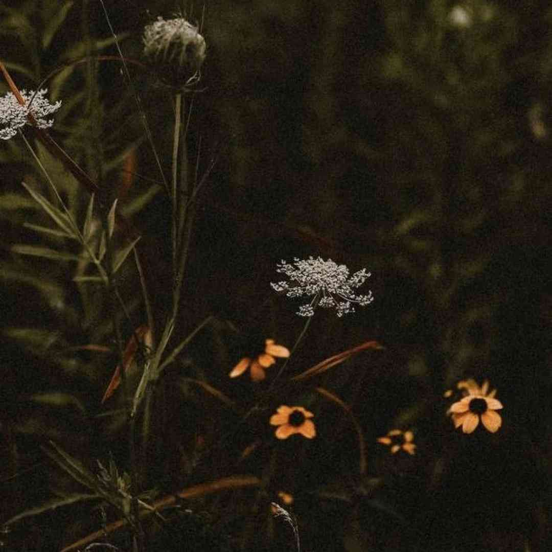 ای بچه جوشکار با عینک سیاهت _ اینستا