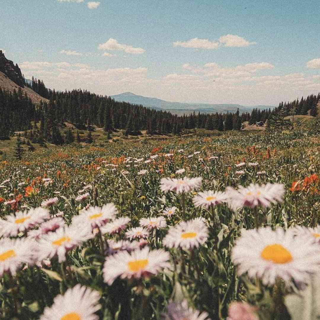دانلود آهنگ جدید ترکی بایرام گلدی هرکس مملکته کاچتی