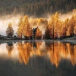 دانلود آهنگ بین قلبم یک نفر دارو ندارم یک نفر با صدای زن و مرد