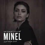 دانلود آهنگ نگو برگرد مینل
