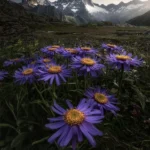 دانلود آهنگ روزای بد برای من روزای خوب برای تو دانلود آهنگ روزای بد برای من روزای خوب برای تو